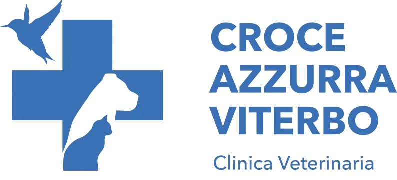 Clinica Veterinaria Croce Azzurra – Viterbo